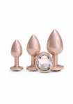 Iridescent Trainer Kit &mdash; 3 chromuotos dalys