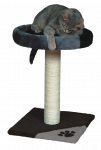 Tarifa Draskyklė katėms juodas, 52 cm