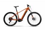 Elektrinis dviratis Haibike 29
