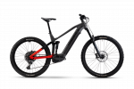 Elektrinis dviratis Haibike ALLMTN 4 29 High 800Wh
