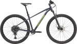 Dviratis Cannondale Trail 1