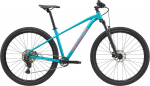 Dviratis Cannondale Trail 2