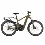 El. Dviratis Riese & M&uuml;ller Delite5 GT Pinion 800Wh 51cm Amber