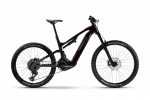 Elektrinis dviratis Haibike ALLMTN CF 9 29 High 800Wh