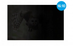 Natec | Privacy Filter Owl, 14", 16:10 | NFP-2477