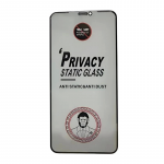 LCD apsauginis stikliukas Samsung A56 5G ESD Anti-Static Privacy A566