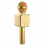 Mikrofonas Royal Song DS-878 auksinis