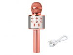 Mikrofonas PRM402 Blow karaoke / 33-146 rož.auks.