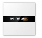 SMART HOME DISPLAY SWITCH V1/WS-K02D AQARA