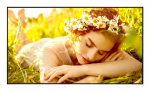 DISPLAY LCD 55" 4K/55UL5Q-E LG