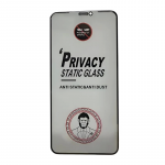 LCD apsauginis stikliukas ESD Anti-Static Privacy Samsung A366 A36 5G