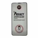 LCD apsauginis stikliukas ESD Anti-Static Privacy Samsung A566 A56 5G