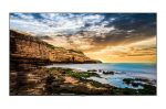 DISPLAY LCD 55" QE55T/LH55QETELGCXEN SAMSUNG