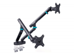 Digitus Desk Mount | Tilt, rotation, pivot | Dual design monitor mount, 2x 35", 2x 10 kg | 35 "