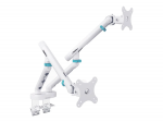 Digitus Desk Mount | Tilt, rotation, pivot | Dual design monitor mount, 2x 35", 2x 10 kg | 35 "