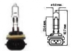Bosma lemputė 12,8V, 50W