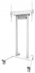 TV SET ACC FLOOR STAND 37-100 /FL55-875WH1 NEOMOUNTS