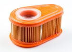 Oro filtras Briggs 792038