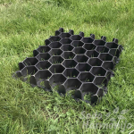 Korys 33x40