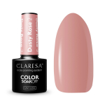 Gelinis lakas Claresa Dusty Rose 2, 5g