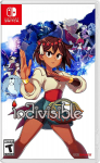 Indivisible NS