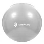 Mank&scaron;tos kamuolys Springos 75 cm pilkas