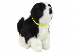 Interaktyvus žaislinis &scaron;uo Border Collie, juodai baltas, su garso ir judesio funkcijomis