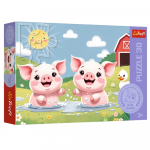 Dėlionė 270 &times; 200 mm