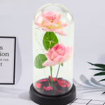 Eternal Roses in Dome with LED Lighting and Rose Petals Pink 21x11cm