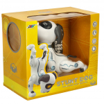 RC robotas &scaron;uo