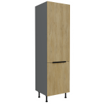 Pastatoma spinta (60)