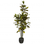 Dirbtinis krotonas 190 cm