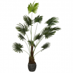 Dirbtinė vėduoklinė palmė 200 cm