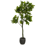 Dirbtinis fikusas 180 cm
