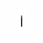 Gucci Bloom Intense Intense mini EDP kvepalai moterims, 10 ml