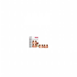 Clarins Extra-Firming Day & Night Set - dovanų rinkinys odos priežiūrai