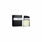Flavia Viking Pour Homme EDP 100ml kvepalai vyrams