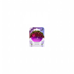 Invisibobble Sprunchie Mystica Merry for Love - Hair band ( 2 vnt. )