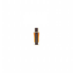 Salvatore Ferragamo Ferragamo Spicy Leather EDP kvepalai vyrams, 100 ml