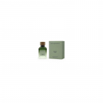 Adolfo Dominguez Agua Fresca Vetiver Terra EDP 120 ml kvepalai vyrams