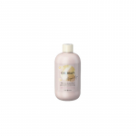 Inebrya Ice Cream Argan Age Pro-Age Shampoo 1000 ml