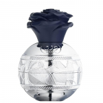 Lattafa Thouq EDP, 80 ml
