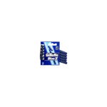 Gillette Blue II 10 vnt.