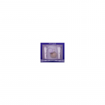Ariana Grande Moonlight Gift Set - rinkinys - EDP 100 ml, kūno kremas 100 ml ir du&scaron;o želė 100 ml