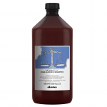 Davines Natural Tech Rebalancing Shampoo - &scaron;ampūnas riebiai galvos odai, 1000 ml