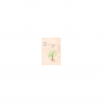 Ondo Beauty 36.5 TANG-TANG Adenosine & Zhi Mu Lifting Mask - Lyginamoji veido kaukė, 25 g
