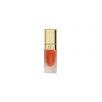 Dolce Gabbana Mint Oil Lip Plumper Coffee