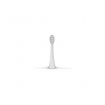 Concept ZK6010, ZK6020 Medium ZK0062 - Pakaitinė galvutė vaiki&scaron;kiems dantų &scaron;epetėliams ( 2 vnt. )