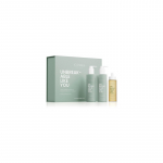 ICONIQUE Professional Unbreakable Like You Set - plaukų priežiūros priemonių rinkinys