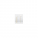 EcoTools Precious Metals Brightening Eye Set - akių makiažo &scaron;epetėlių rinkinys